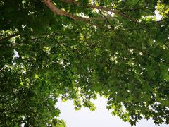 -张公山寨景区