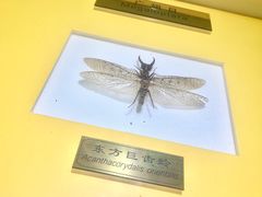 -上海昆虫博物馆