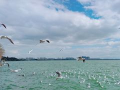 -滇池海埂公园