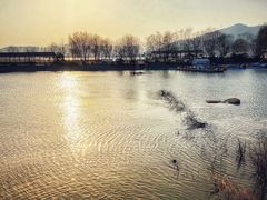 -青山湖景区