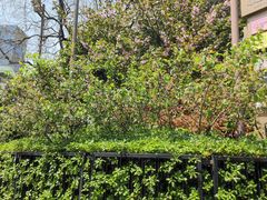 -长江路历史文化街区