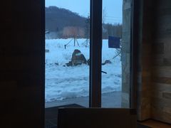 -长白山凯悦酒店·市集咖啡厅