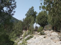 -佛慧山