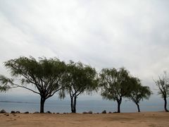 -西昌邛海湿地