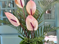 -南堂馆·新川菜(春熙路店)