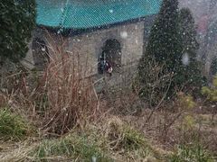 iphone_upload_pic-武当山风景区