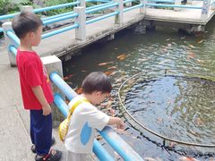 -桃园盛宴·岭南粤菜·手工茶点(南庄店)