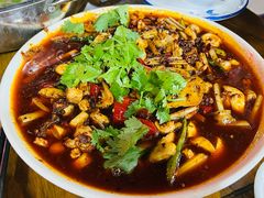 -小杨翘脚牛肉