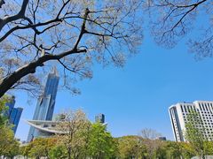 -人民广场