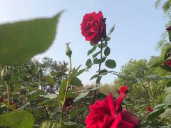 -人民公园(罗湖区)