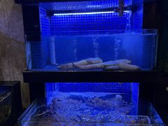 -丰鲤楼•闽南茶楼(仟禧汇店)