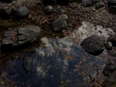 -花岩国家森林公园