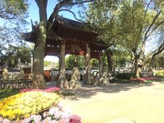-汇龙潭