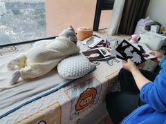 -田螺阿姨自营月嫂·育儿嫂(高新店)