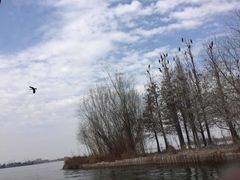 -东湖落雁景区
