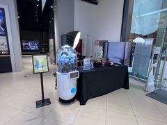 -Sony Store索尼(深圳深业上城店)