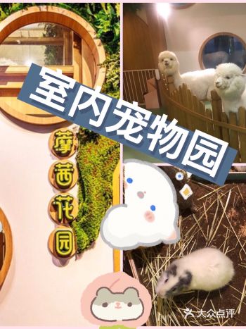 在这个炎炎夏日,家长们想好带孩子去哪里游玩了吗