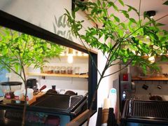 -Joymean coffee.见面咖啡