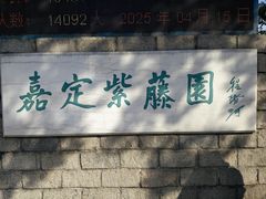 -嘉定紫藤园