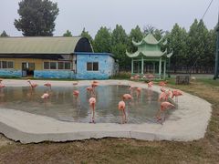 -秦皇岛野生动物园