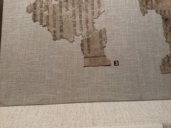 -敦煌石窟文物保护研究陈列中心