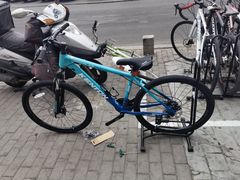 -道路口单车爱瓦士dahon大行