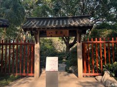 -静安公园(静安寺街道)