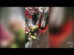 -长宁东道花卉宠物市场