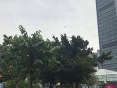 景点-荔枝公园-小平画像广场