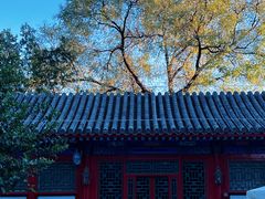 -恭王府博物馆