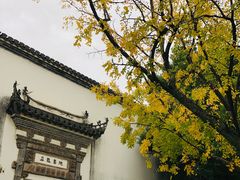 -广富林郊野公园