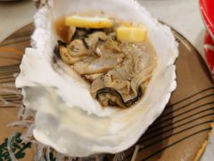 -京樽回転寿司(奥林匹克店)