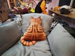 -囡的喵喵酱·萌宠生活馆·宠物洗护美容(胶州路店)