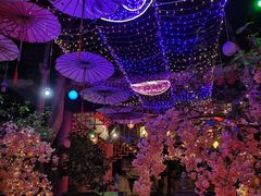 -海口观澜湖火山温泉谷