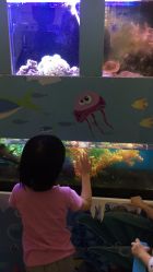 点击看大图 -上海市儿童医院(泸定路院区)