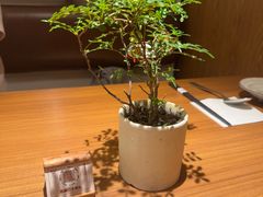 -CURRY YA 熟成咖哩專門店(深圳湾万象城店)