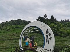 -东白山