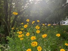-逸廊大堂吧-下午茶·简餐-千岛湖自由洲际殿