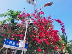 -三亚西岛海洋文化旅游区