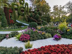 -上海共青森林公园