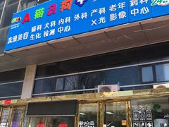 -A猫a狗全科·犬猫异宠·芥西宠物医院(南开总院)