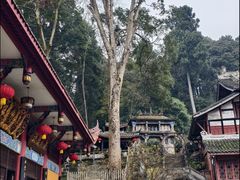 -都江堰普照寺