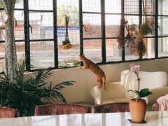 -NOTOOCAFE不二咖啡馆(岩前店)