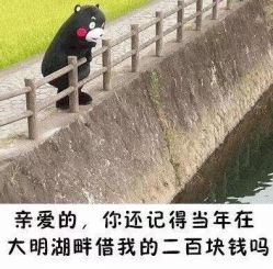 -嗨翻Hi-Fun竞技主题乐园·蹦床团建生日聚会(五棵松华熙店)