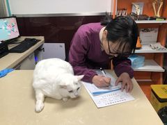 -顺强宠物诊所·狂犬免疫·夜诊·骨科(嘉定店)