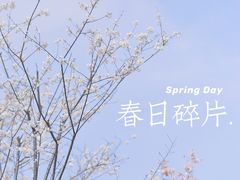 -顾村公园