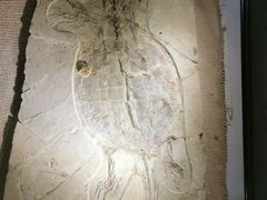 -房山世界地质公园博物馆