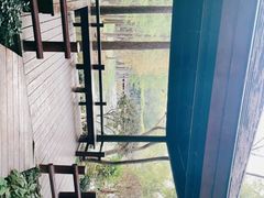 -上海滨江森林公园