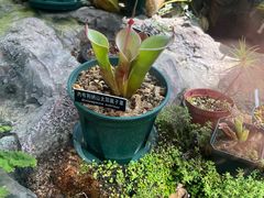 -国家植物园南园