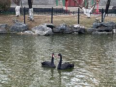 -珠海圆明新园